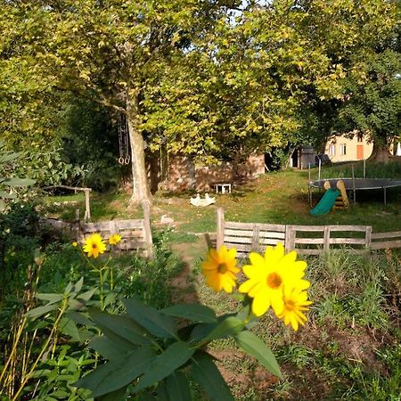 Albergue Del Oso Tierraluz Arbucies Luaran gambar