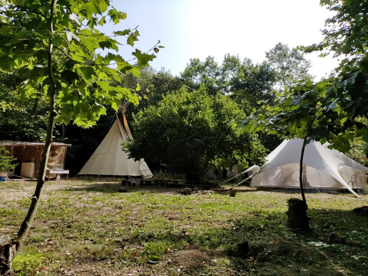 Albergue Del Oso Tierraluz Arbucies Luaran gambar