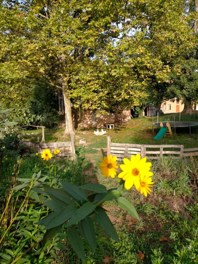 Albergue Del Oso Tierraluz Arbucies Luaran gambar