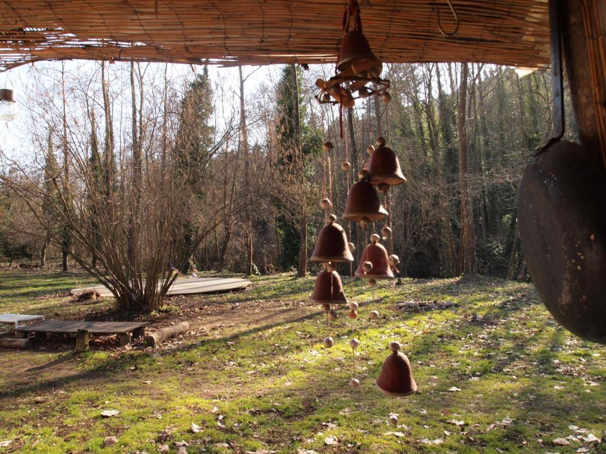 Albergue Del Oso Tierraluz Arbucies Luaran gambar